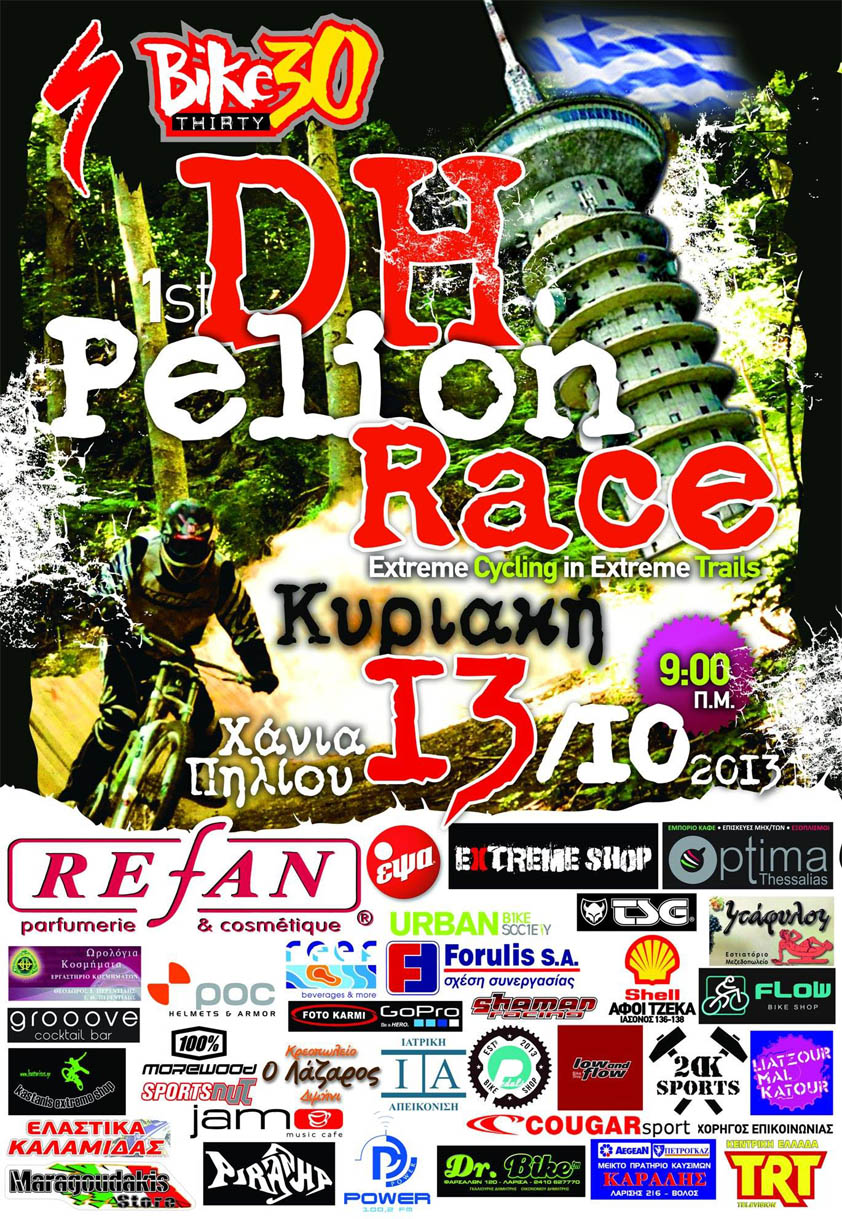 pelion dh 2013 poster