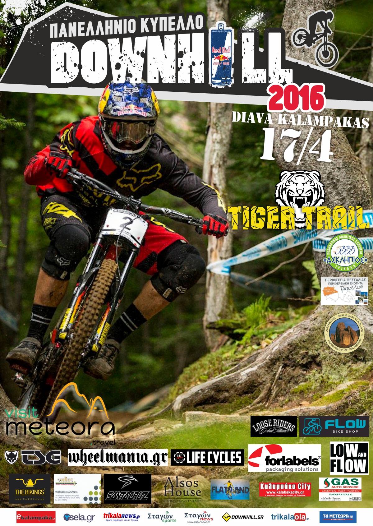 tiger trail2016 poster