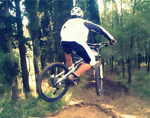 fedon riding