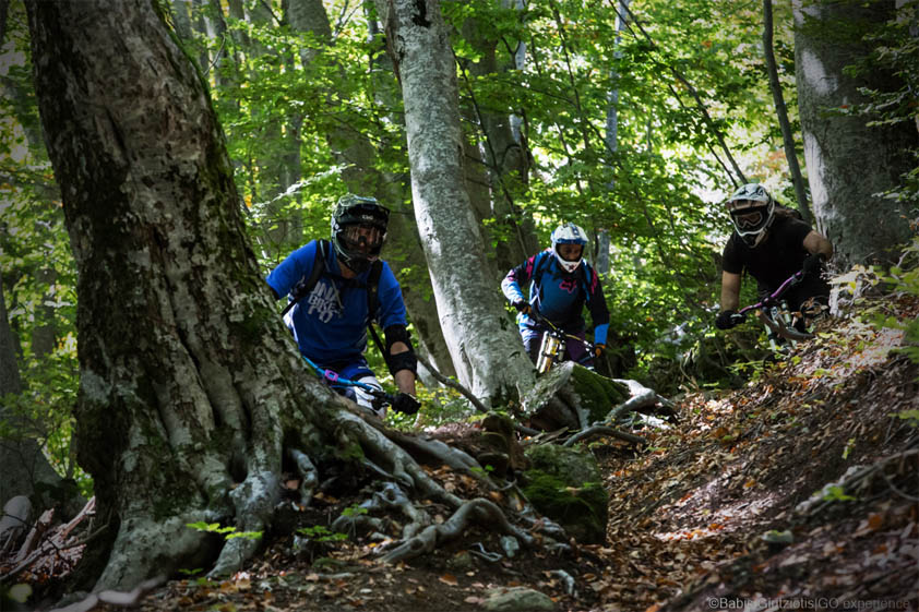 pelion enduro 2018 photo