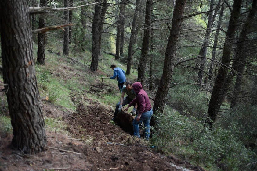 ponstan trail building 07