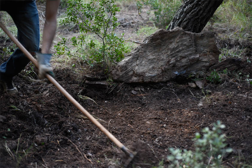 ponstan trail building 09