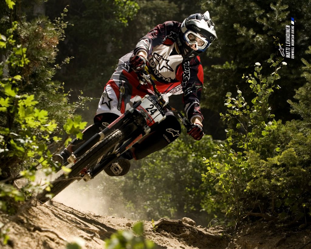 alpinestars arthro pic