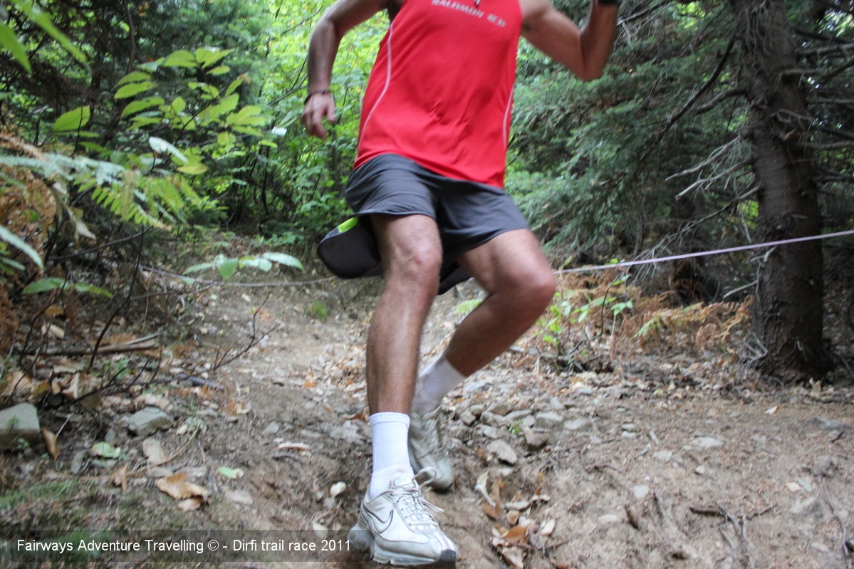 dirfis_running_2011_02