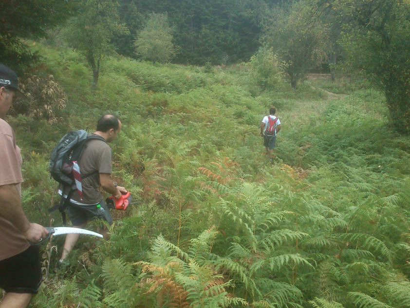 dirfis_running_cleaning