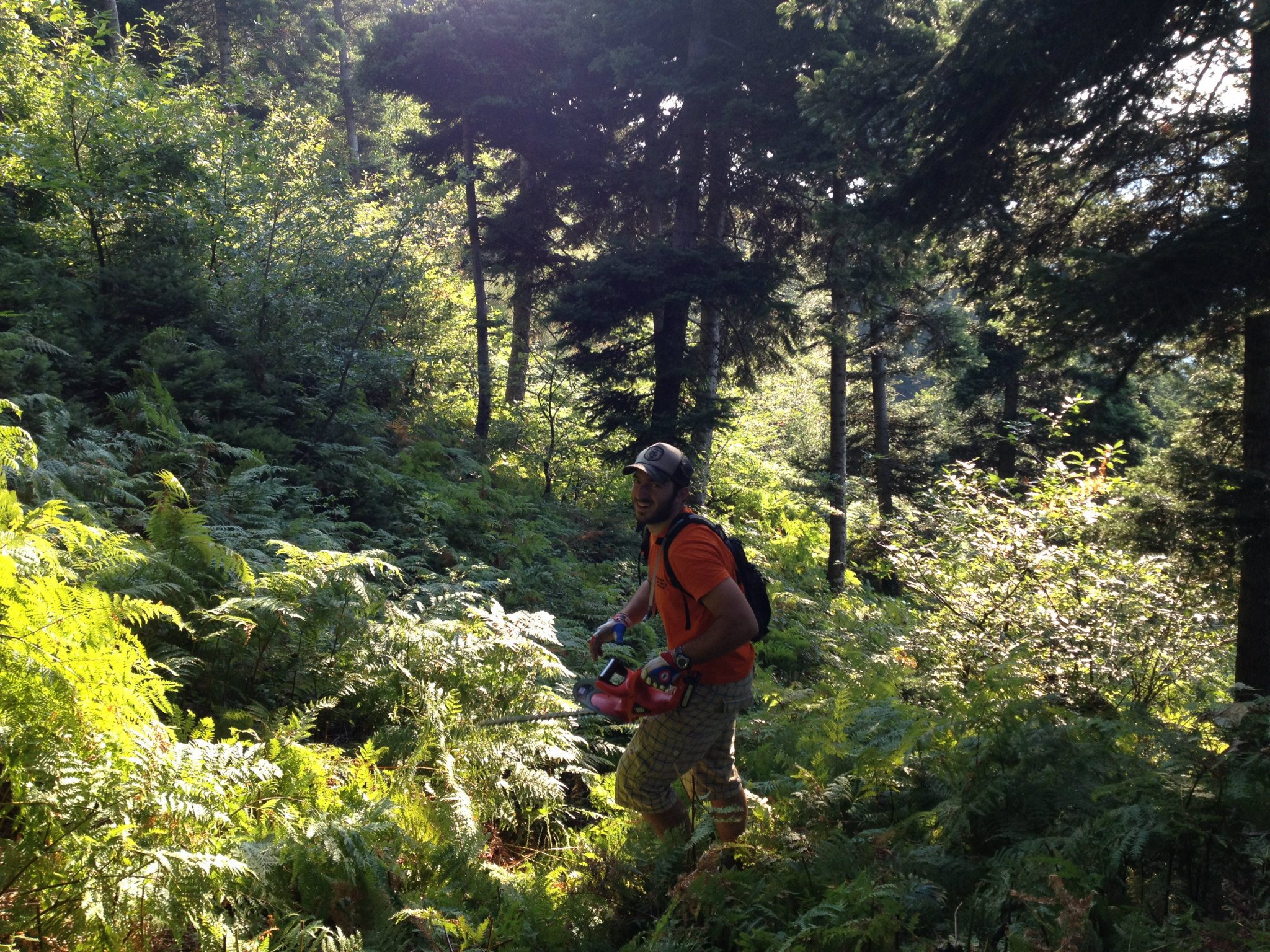 dirfis_running_cleaning2