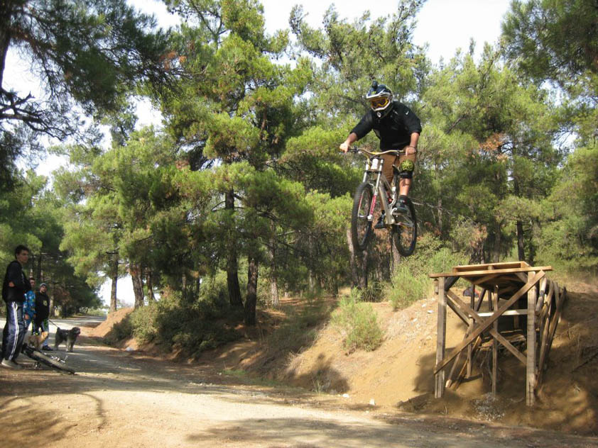 teo_forest_gam