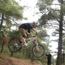 teo_forest_gam2