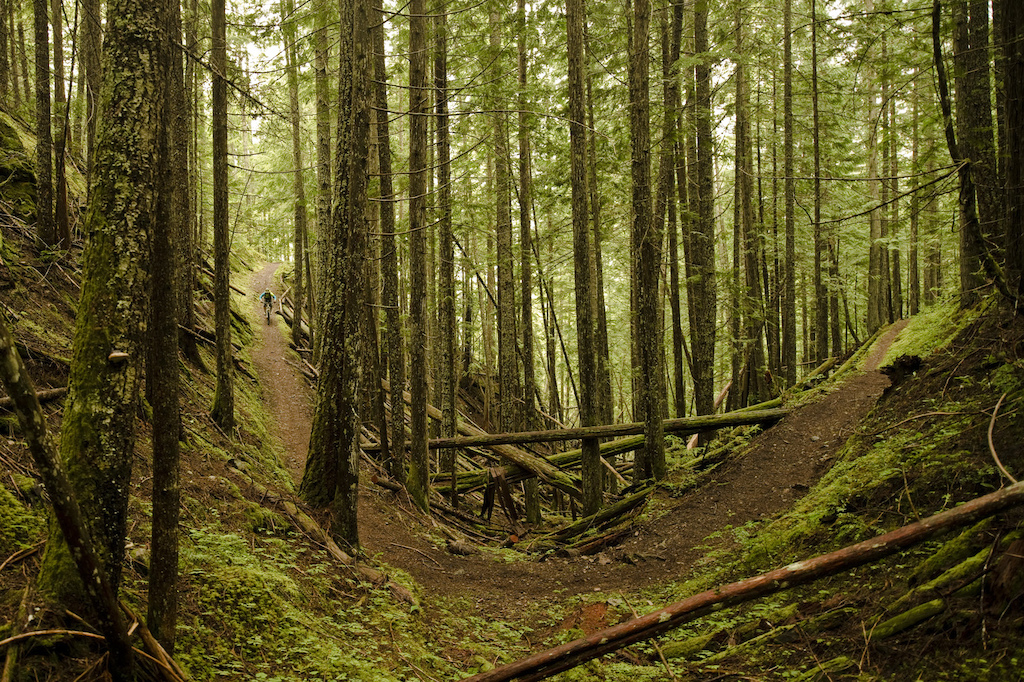 trails2